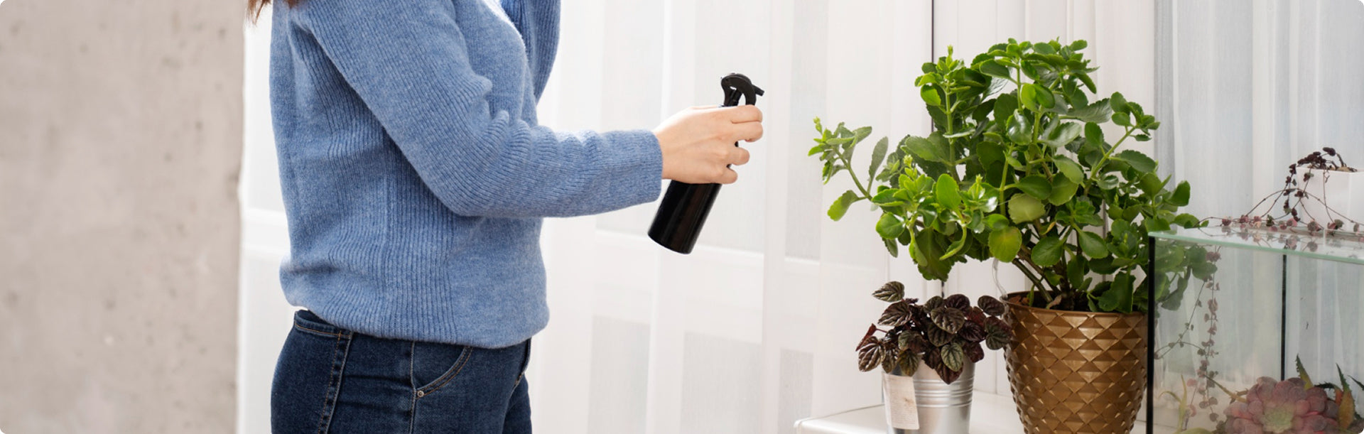 Understanding Total Volatile Organic Compounds (TVOCs)
